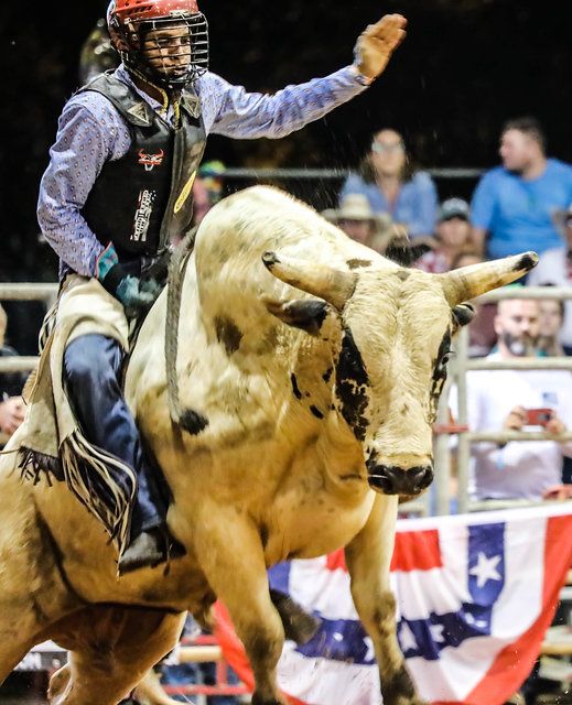 Riding a bull is not for the faint of heart as Dyami Nelson demonstrated at the 2019 Indiantown Rodeo.